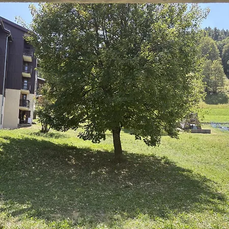 Appartamento Chaleureux Vue Foret - 5 Pers.